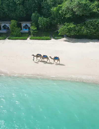 All inclusive Camel Ride at the Beach