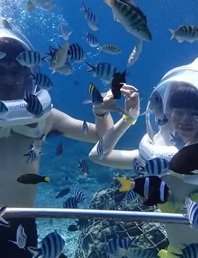 All inclusive Sea-Walker