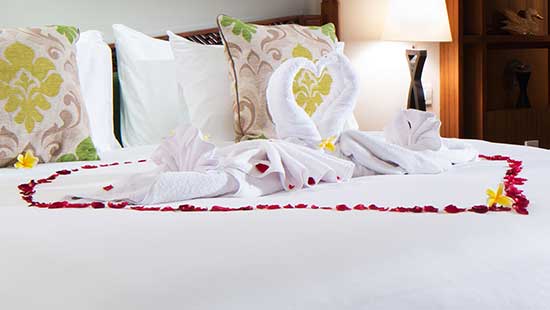 Love Swan with flower on your bed